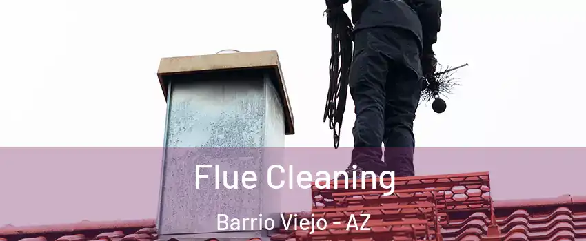 Flue Cleaning Barrio Viejo - AZ