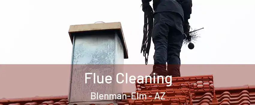 Flue Cleaning Blenman-Elm - AZ