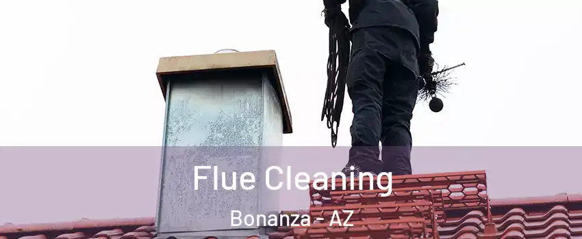 Flue Cleaning Bonanza - AZ