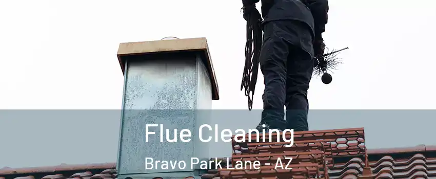 Flue Cleaning Bravo Park Lane - AZ