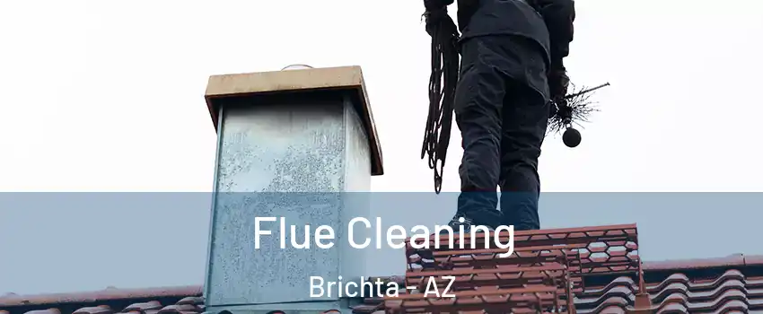 Flue Cleaning Brichta - AZ