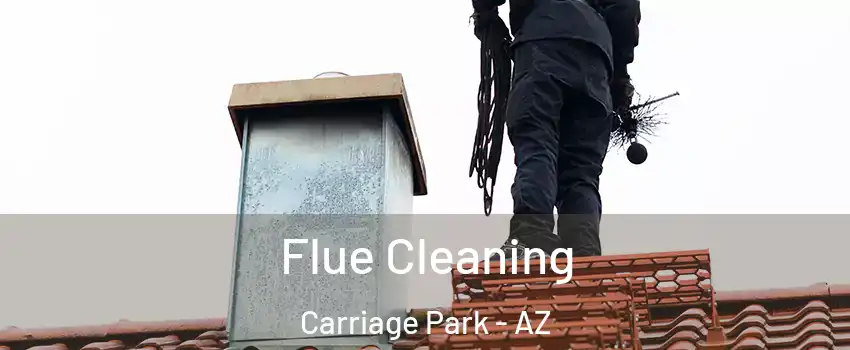 Flue Cleaning Carriage Park - AZ