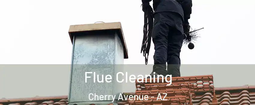 Flue Cleaning Cherry Avenue - AZ