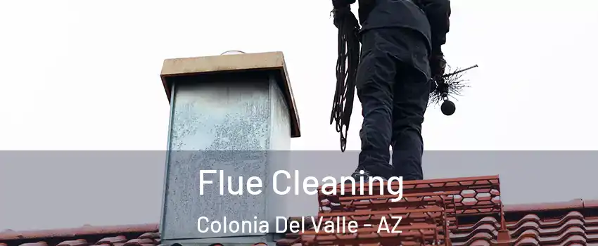 Flue Cleaning Colonia Del Valle - AZ