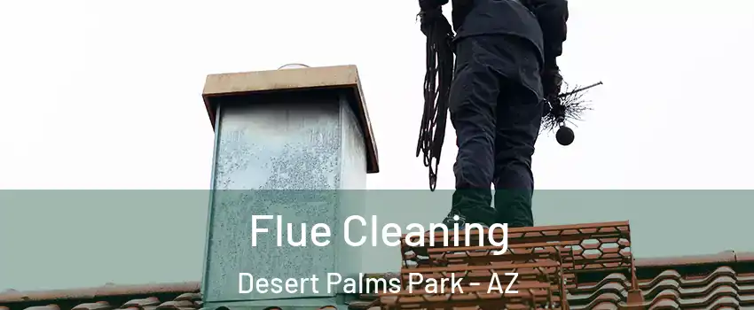 Flue Cleaning Desert Palms Park - AZ