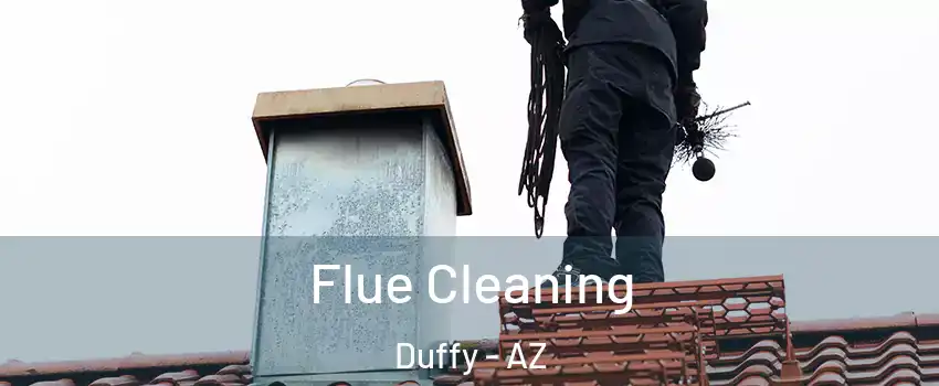 Flue Cleaning Duffy - AZ