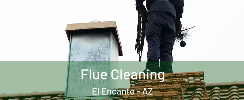 Flue Cleaning El Encanto - AZ