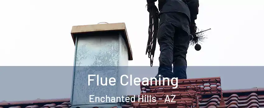 Flue Cleaning Enchanted Hills - AZ