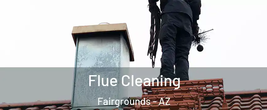 Flue Cleaning Fairgrounds - AZ
