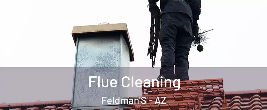 Flue Cleaning Feldman'S - AZ