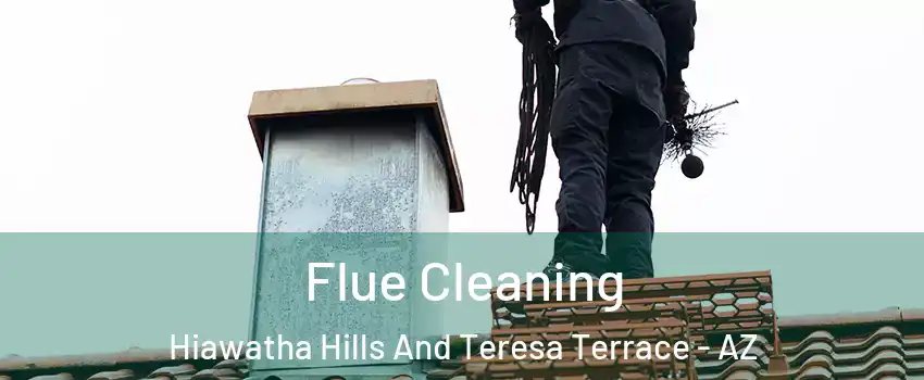 Flue Cleaning Hiawatha Hills And Teresa Terrace - AZ