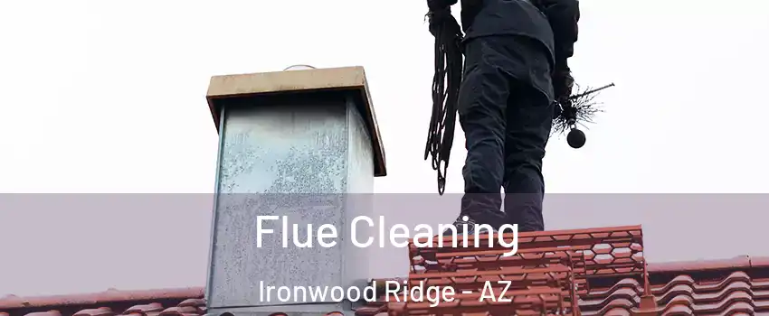 Flue Cleaning Ironwood Ridge - AZ