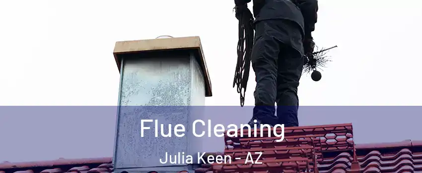 Flue Cleaning Julia Keen - AZ