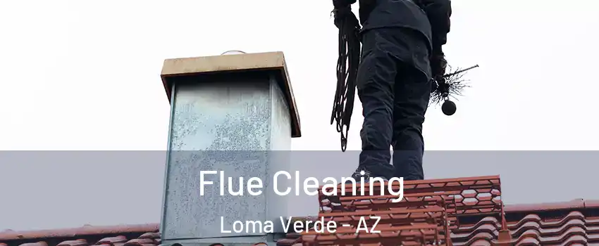 Flue Cleaning Loma Verde - AZ