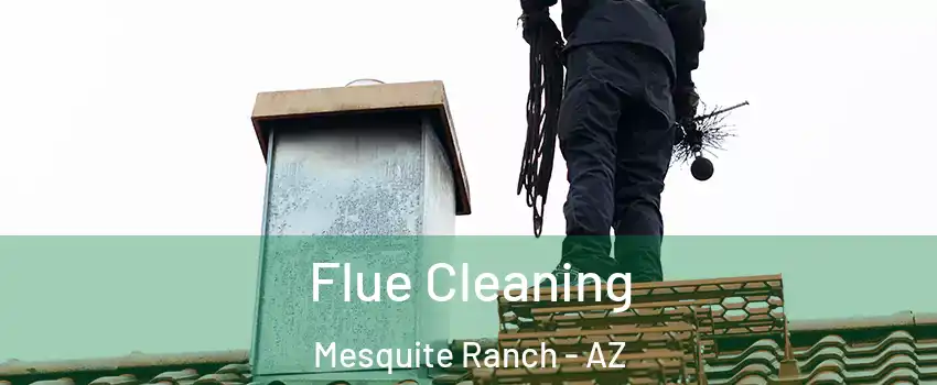 Flue Cleaning Mesquite Ranch - AZ