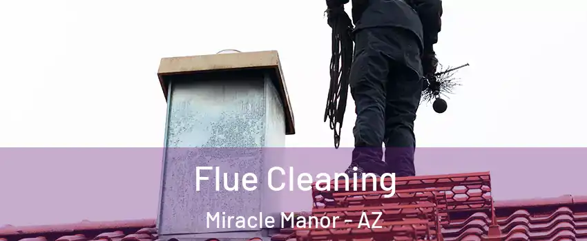 Flue Cleaning Miracle Manor - AZ