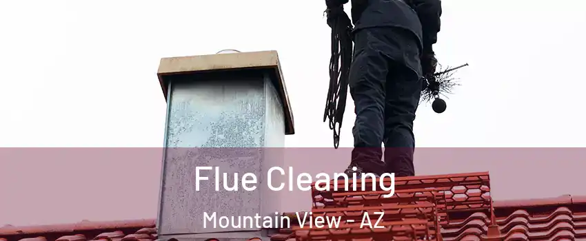 Flue Cleaning Mountain View - AZ