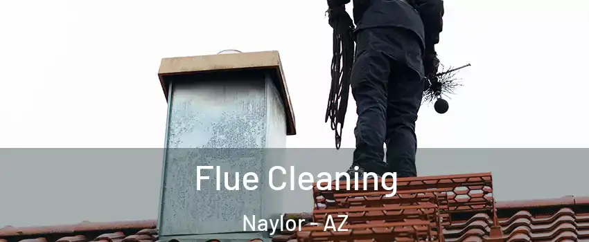 Flue Cleaning Naylor - AZ