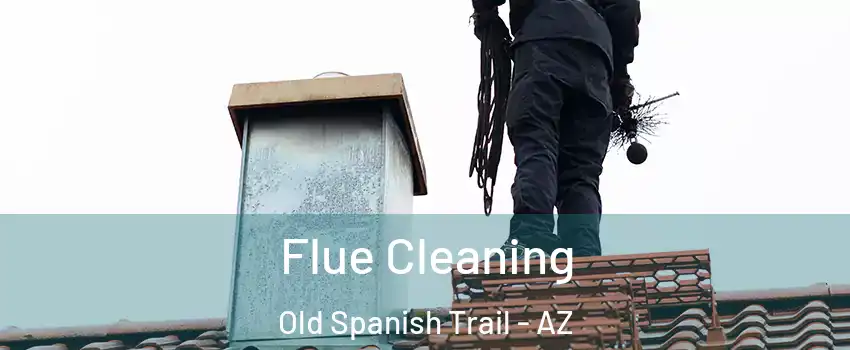 Flue Cleaning Old Spanish Trail - AZ