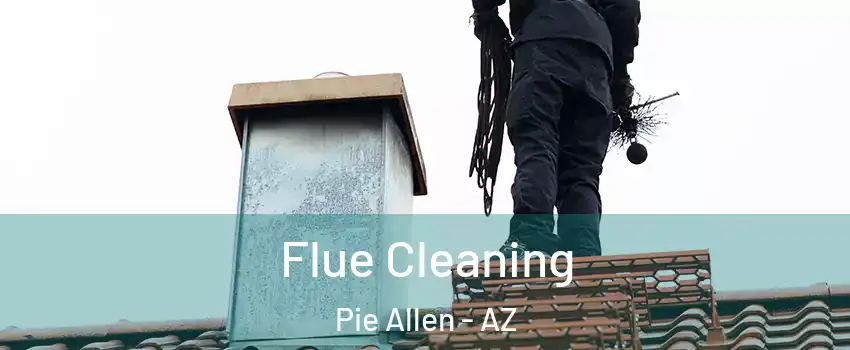 Flue Cleaning Pie Allen - AZ