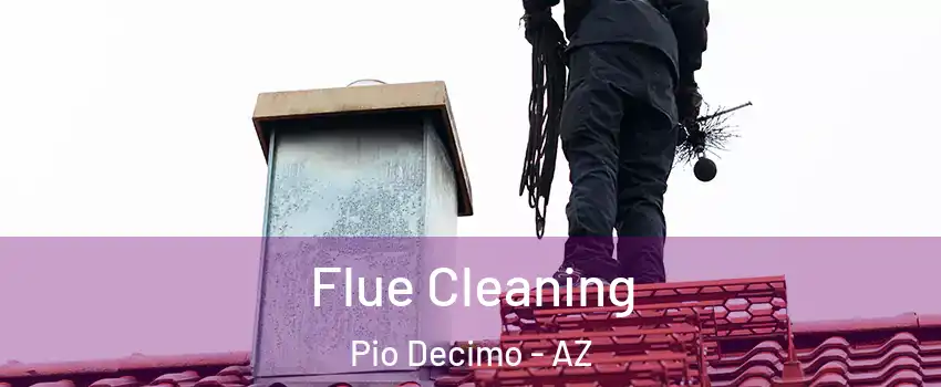 Flue Cleaning Pio Decimo - AZ