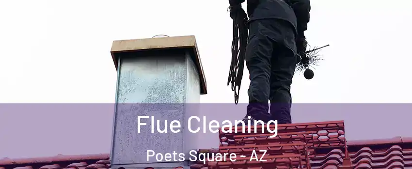 Flue Cleaning Poets Square - AZ