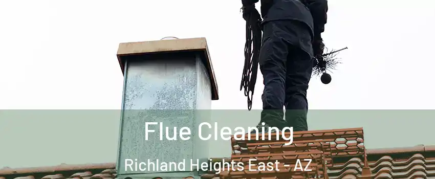Flue Cleaning Richland Heights East - AZ