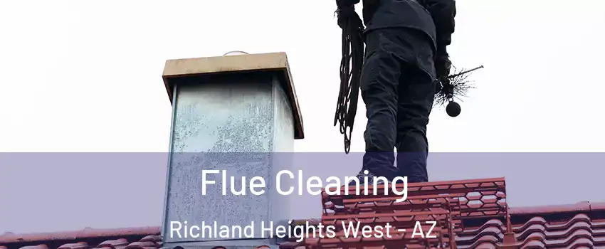 Flue Cleaning Richland Heights West - AZ