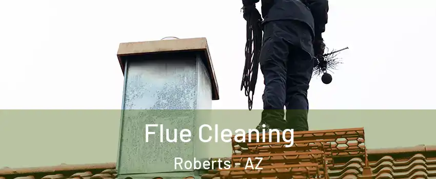 Flue Cleaning Roberts - AZ