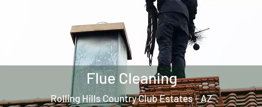 Flue Cleaning Rolling Hills Country Club Estates - AZ