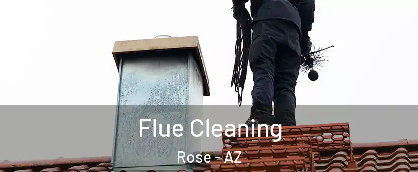 Flue Cleaning Rose - AZ