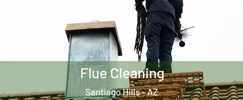 Flue Cleaning Santiago Hills - AZ