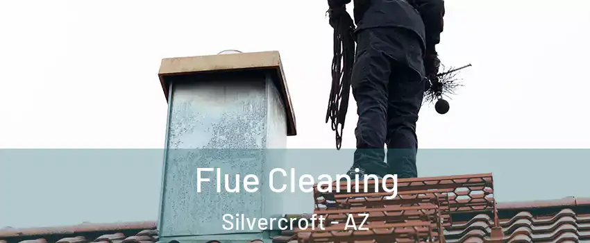 Flue Cleaning Silvercroft - AZ
