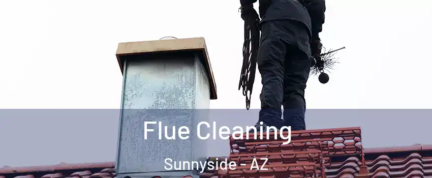 Flue Cleaning Sunnyside - AZ