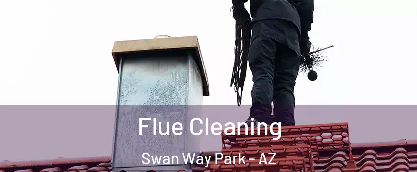 Flue Cleaning Swan Way Park - AZ