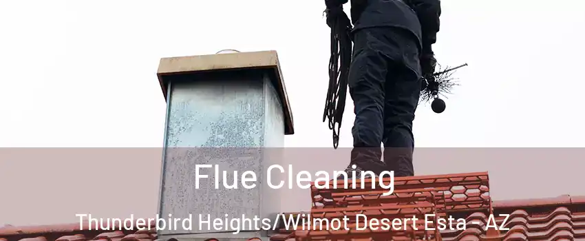 Flue Cleaning Thunderbird Heights/Wilmot Desert Esta - AZ