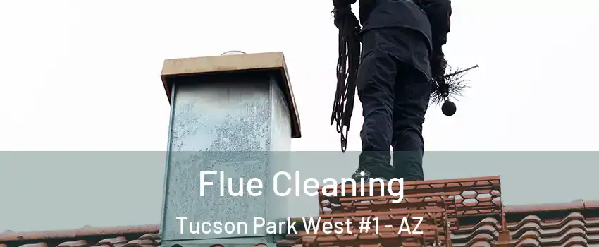 Flue Cleaning Tucson Park West #1 - AZ