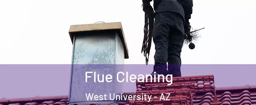 Flue Cleaning West University - AZ