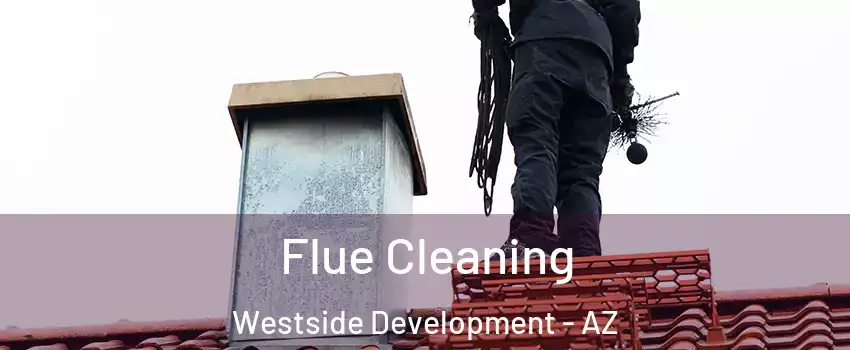 Flue Cleaning Westside Development - AZ