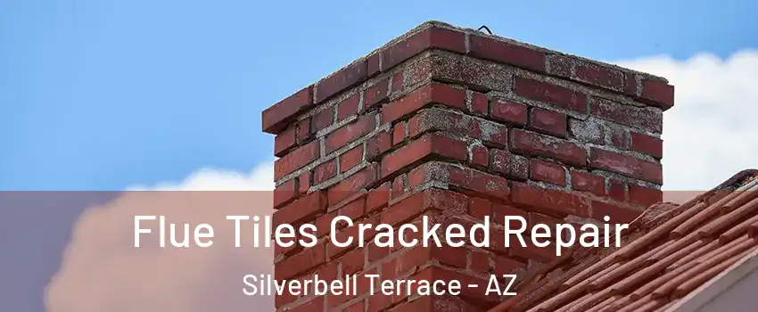 Flue Tiles Cracked Repair Silverbell Terrace - AZ