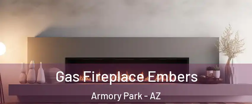 Gas Fireplace Embers Armory Park - AZ