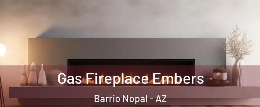 Gas Fireplace Embers Barrio Nopal - AZ