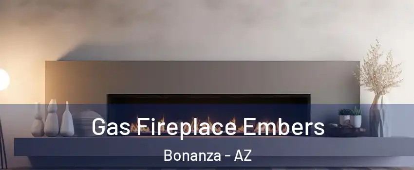 Gas Fireplace Embers Bonanza - AZ