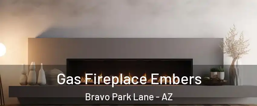 Gas Fireplace Embers Bravo Park Lane - AZ