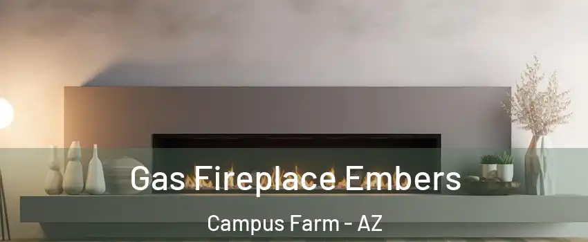 Gas Fireplace Embers Campus Farm - AZ