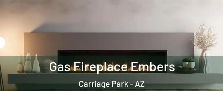 Gas Fireplace Embers Carriage Park - AZ