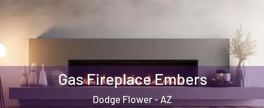 Gas Fireplace Embers Dodge Flower - AZ