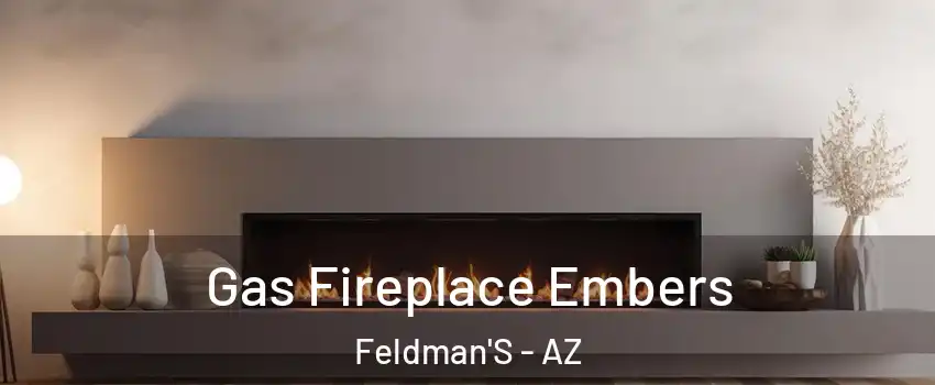 Gas Fireplace Embers Feldman'S - AZ