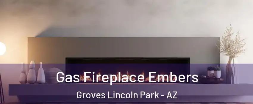 Gas Fireplace Embers Groves Lincoln Park - AZ