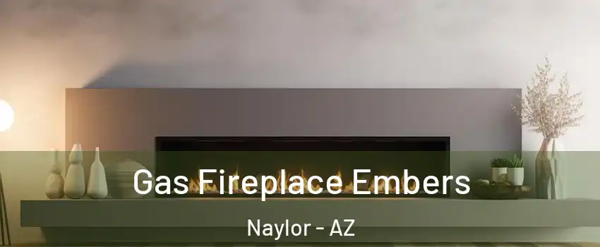 Gas Fireplace Embers Naylor - AZ